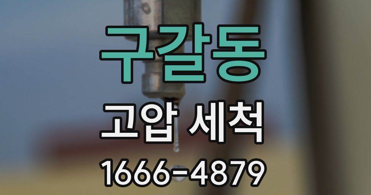 구갈동 고압 세척