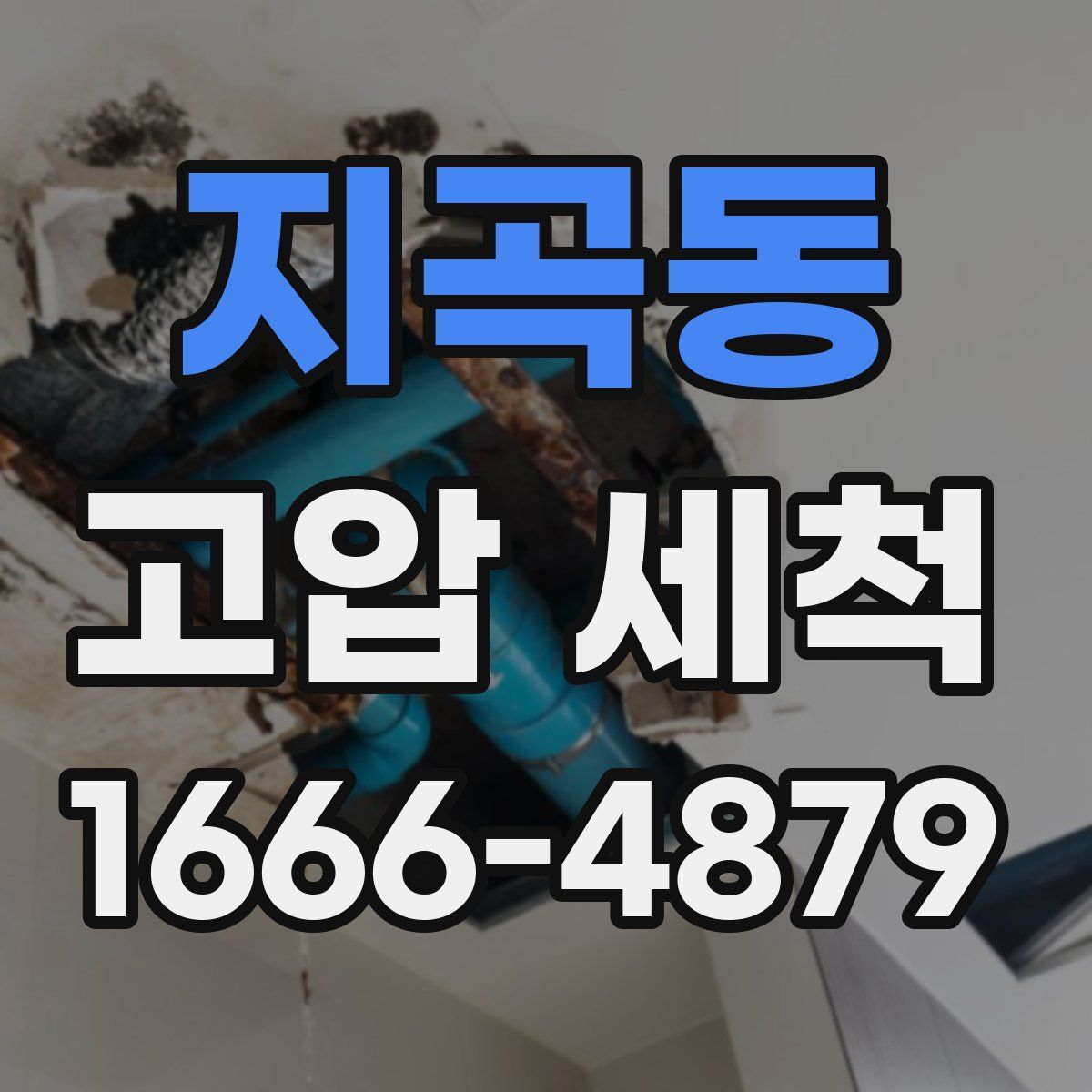 지곡동 고압 세척