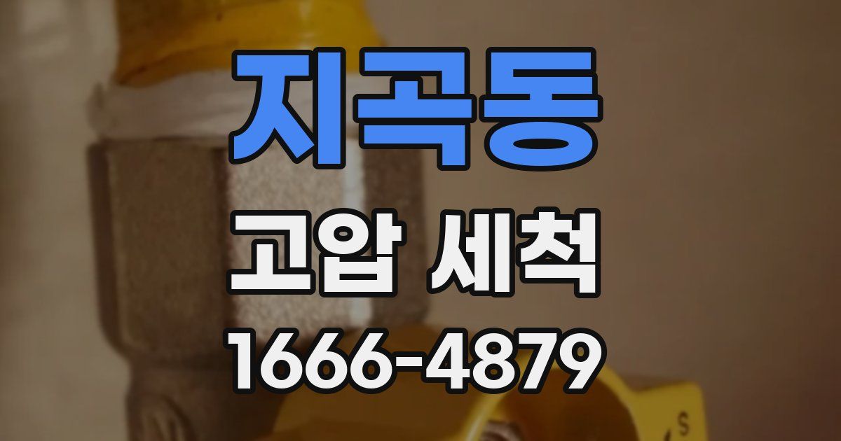 지곡동 고압 세척