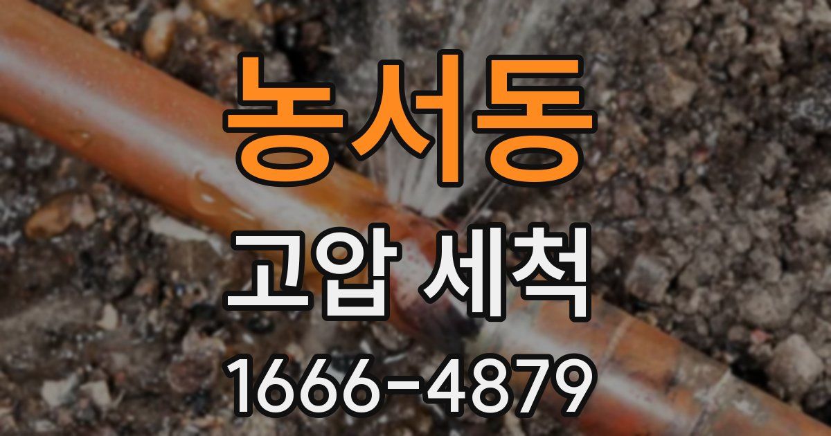 농서동 고압 세척