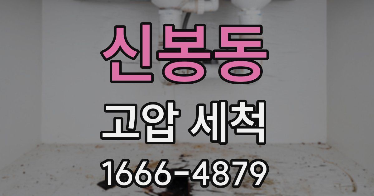 신봉동 고압 세척