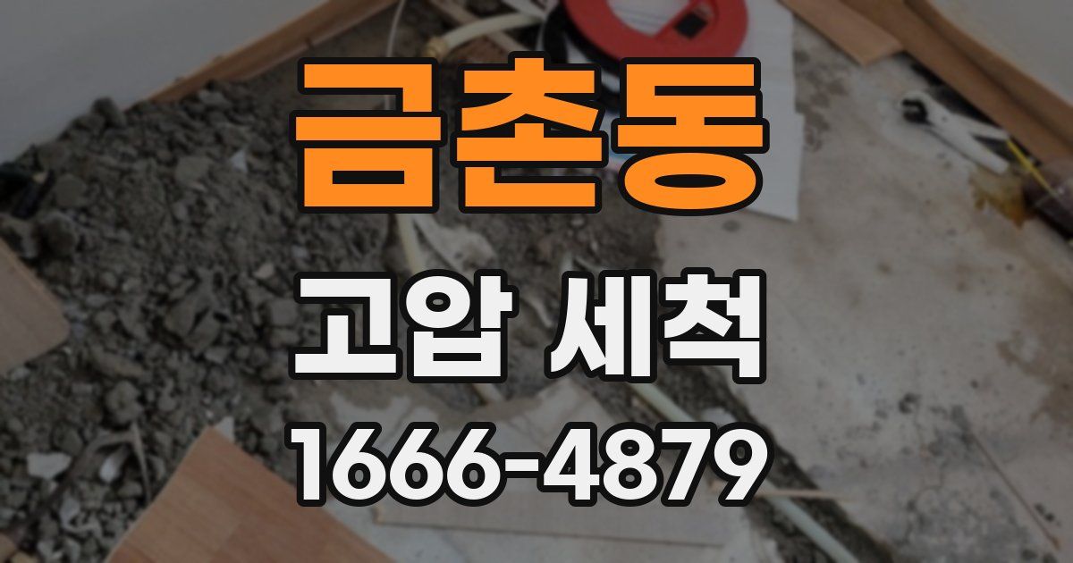 금촌동 고압 세척
