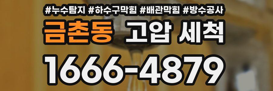 금촌동 고압 세척