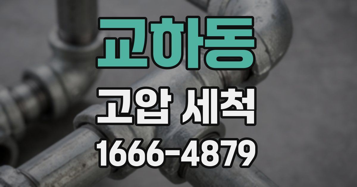 교하동 고압 세척