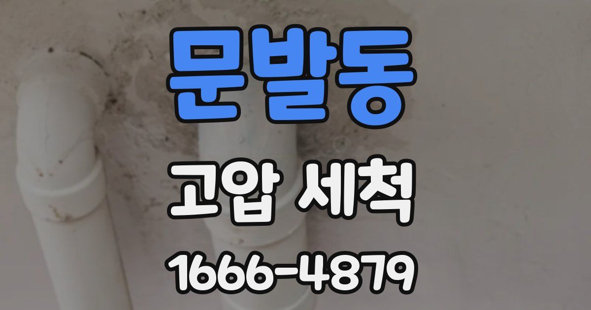 문발동 고압 세척