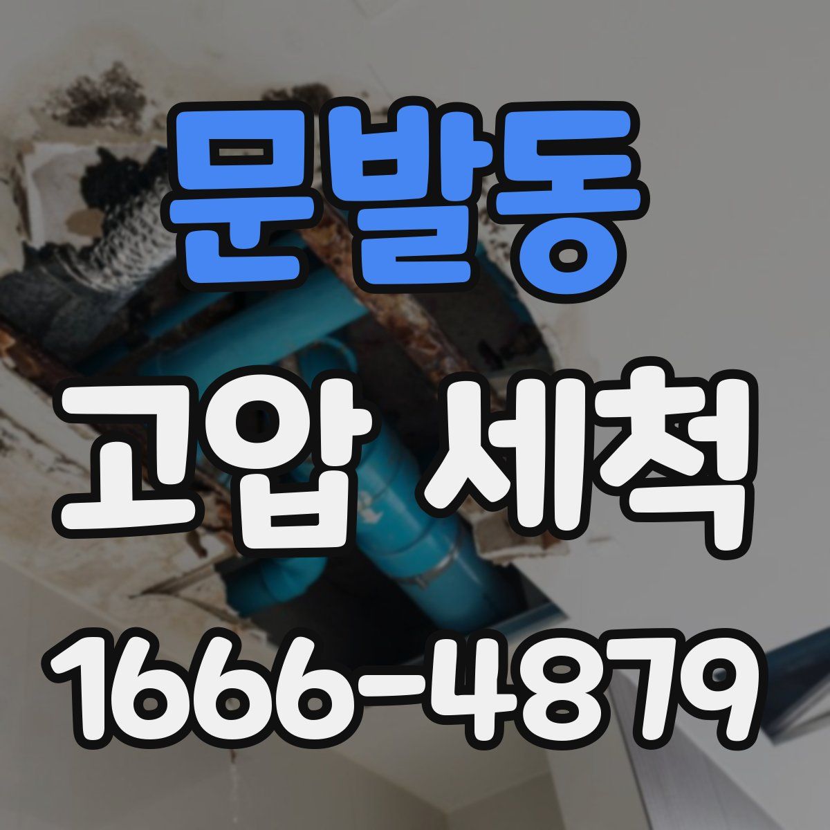 문발동 고압 세척