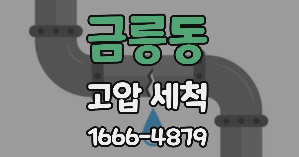 금릉동 고압 세척