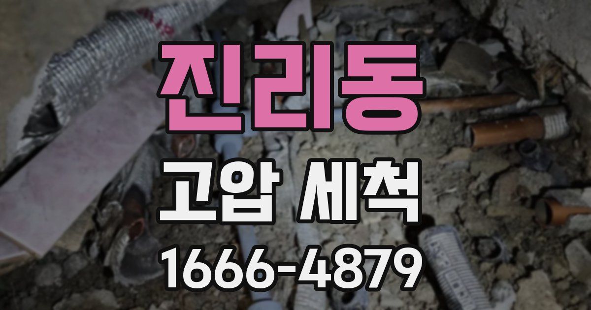 진리동 고압 세척