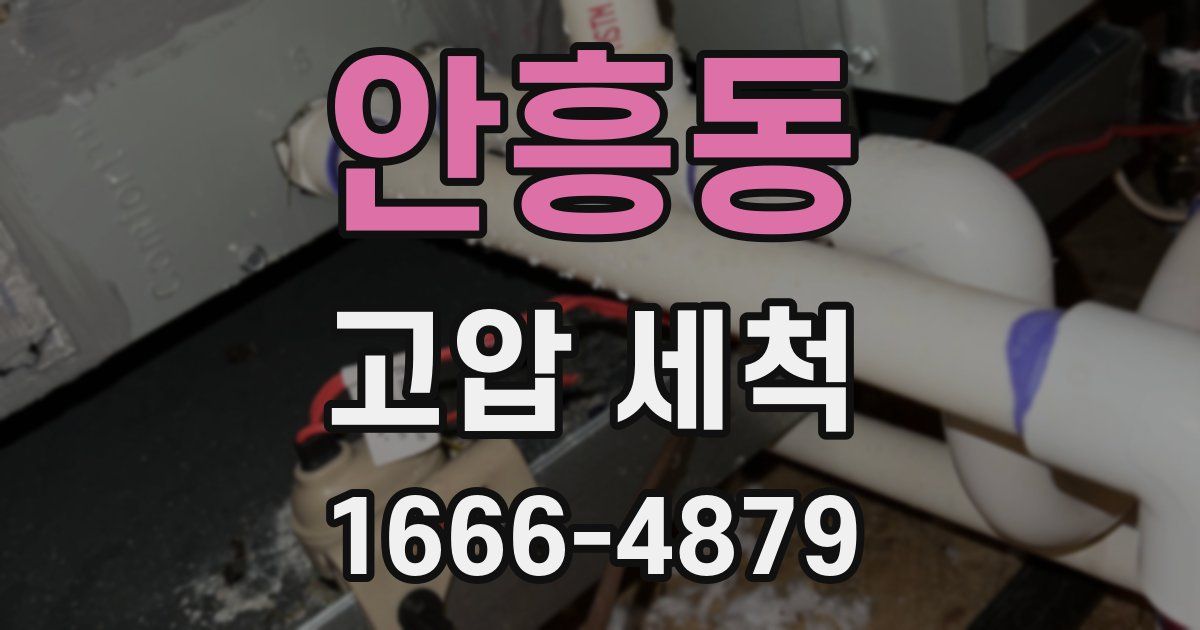 안흥동 고압 세척