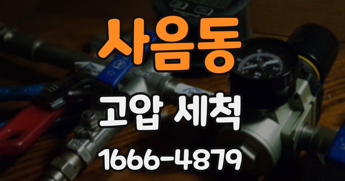 사음동 고압 세척