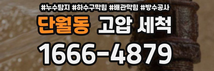 단월동 고압 세척
