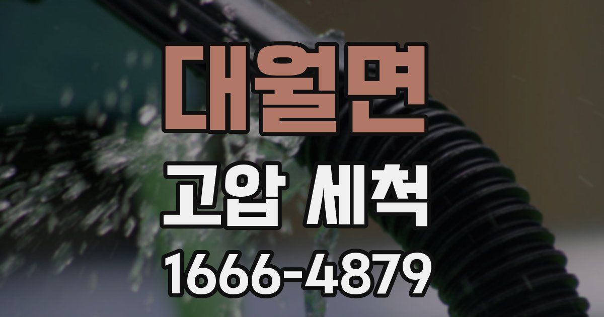 대월면 고압 세척