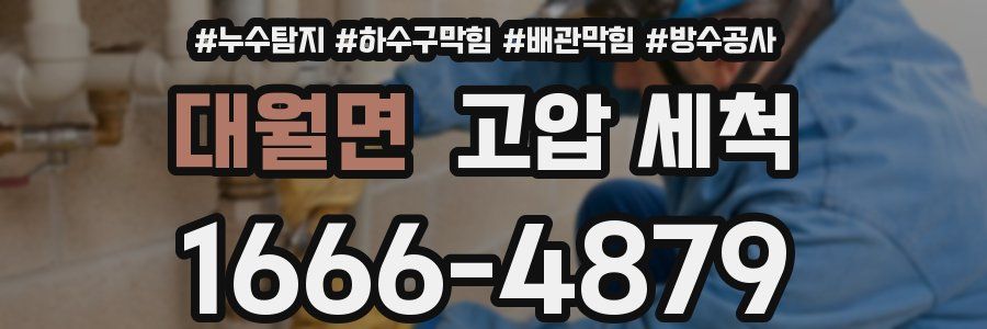 대월면 고압 세척