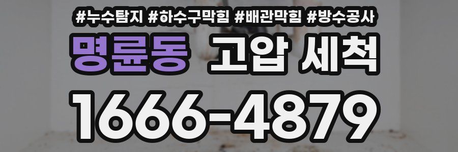 명륜동 고압 세척