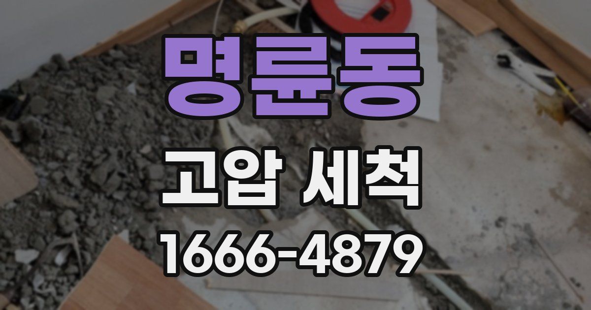 명륜동 고압 세척