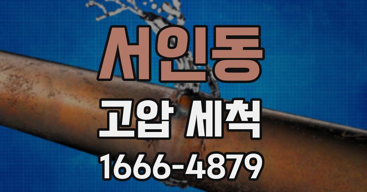 서인동 고압 세척