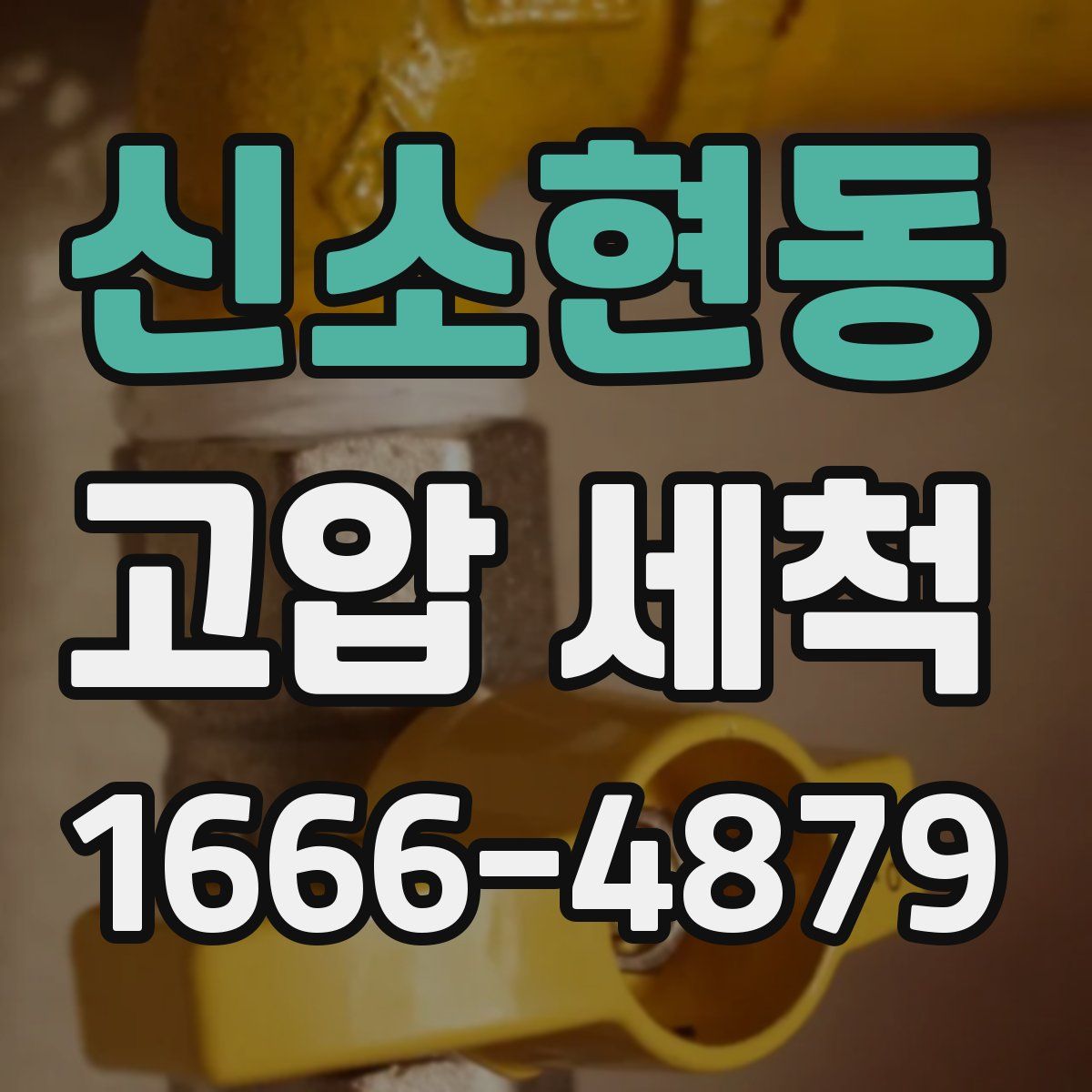 신소현동 고압 세척