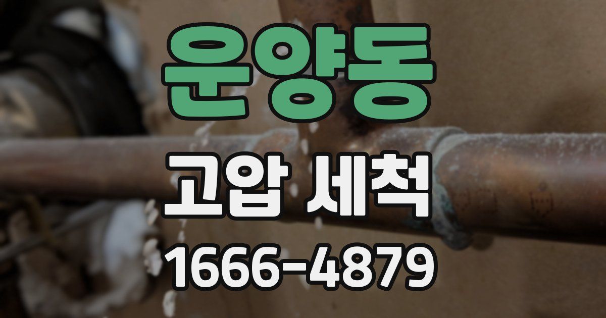 운양동 고압 세척