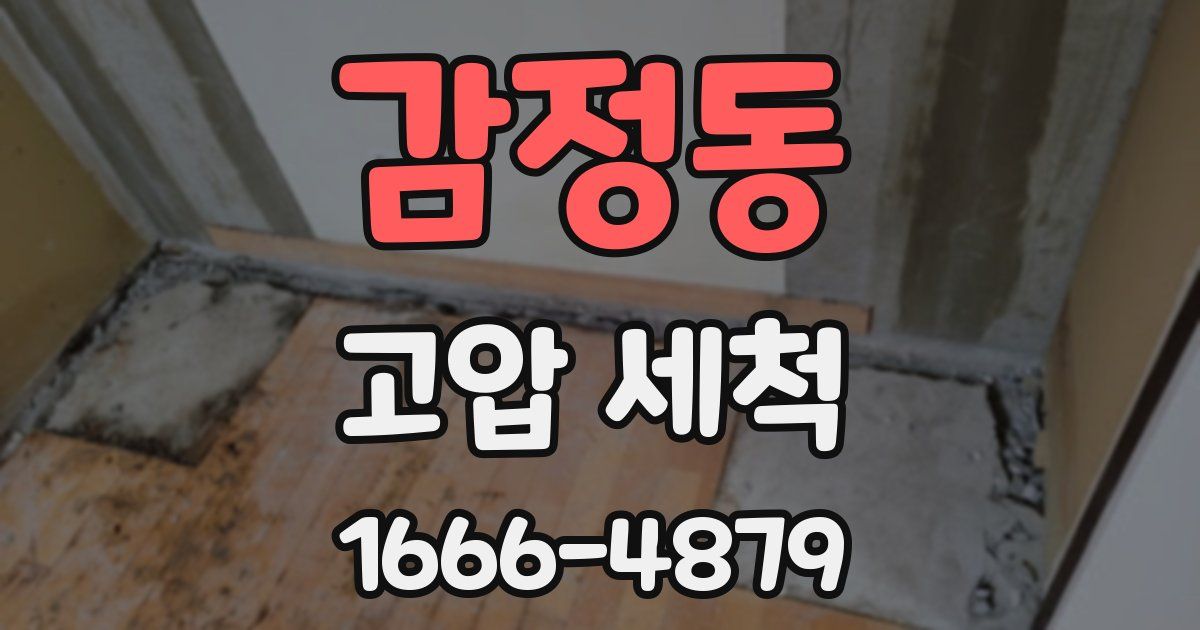 감정동 고압 세척