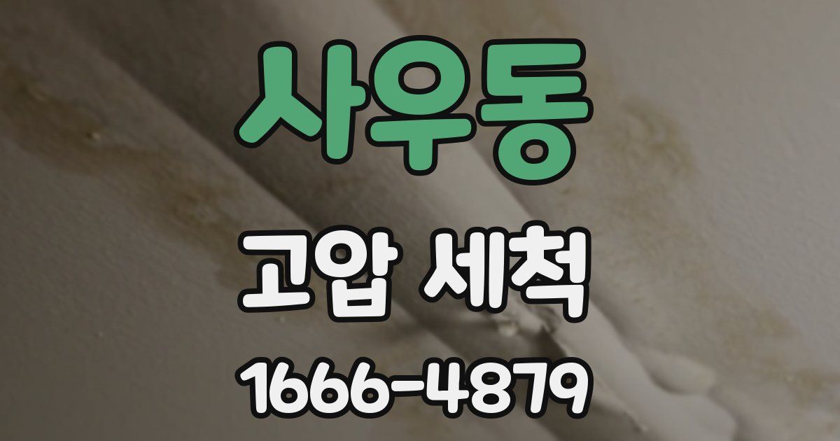 사우동 고압 세척