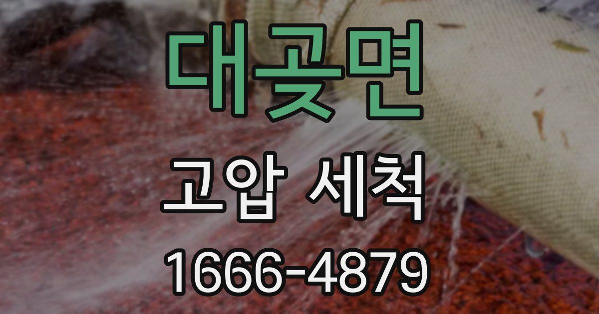 대곶면 고압 세척