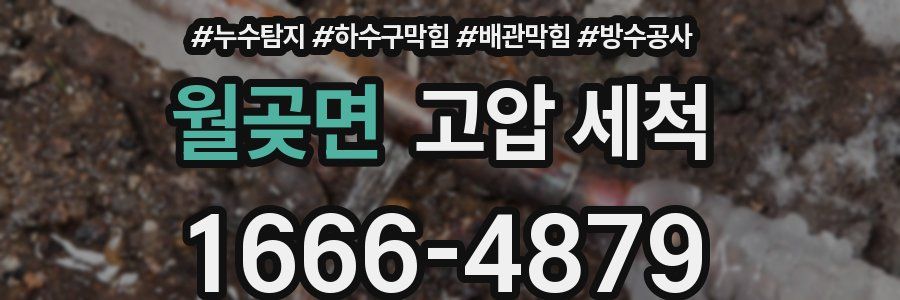월곶면 고압 세척