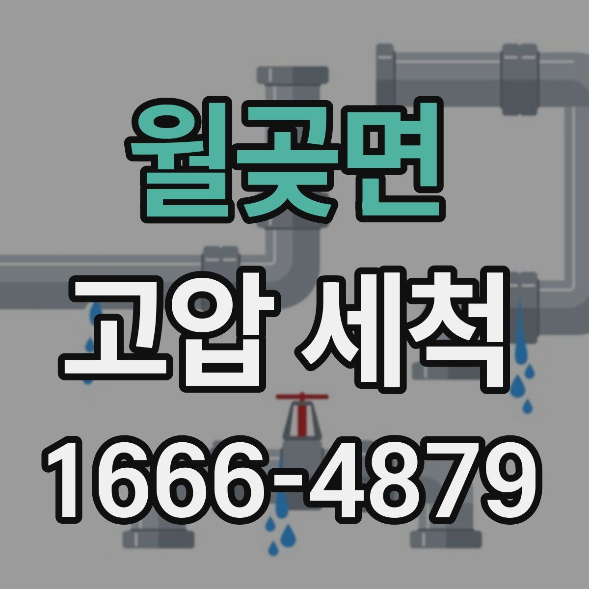 월곶면 고압 세척