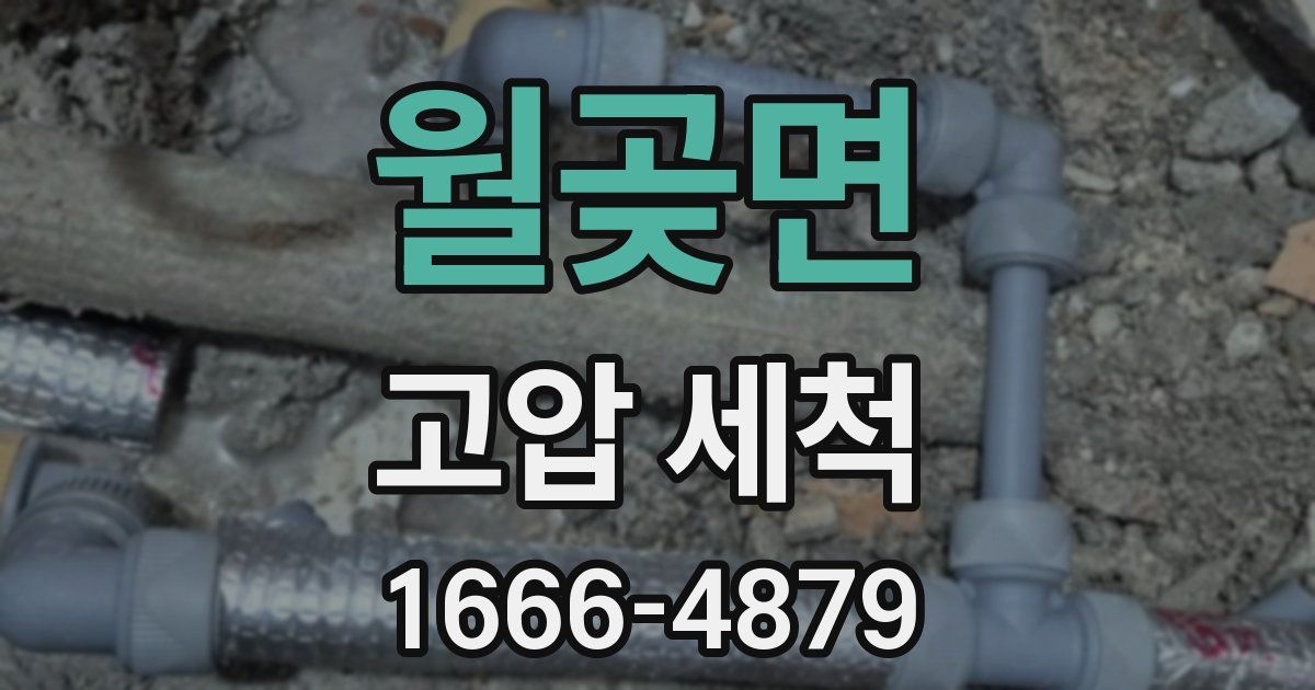 월곶면 고압 세척