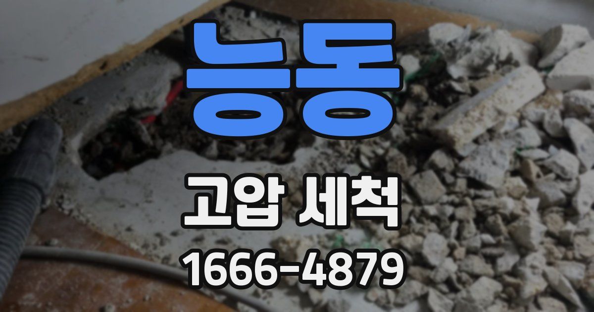 능동 고압 세척