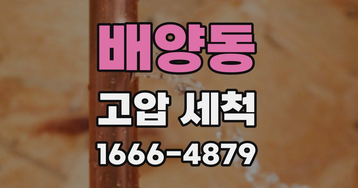 배양동 고압 세척