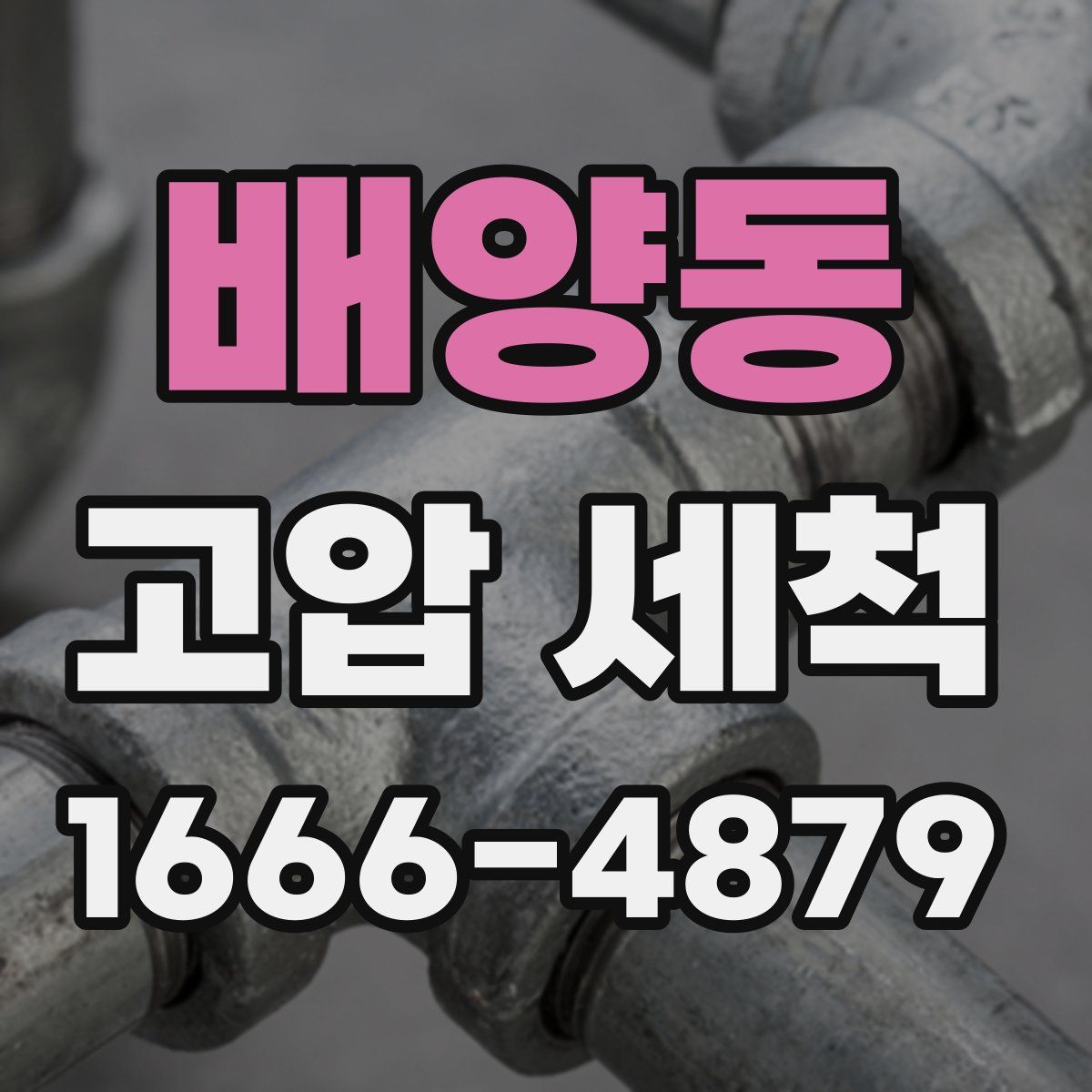 배양동 고압 세척