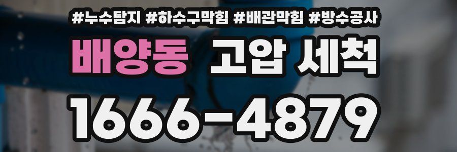 배양동 고압 세척