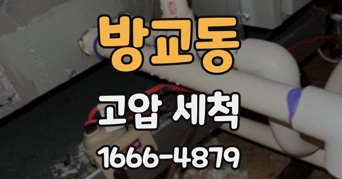 방교동 고압 세척