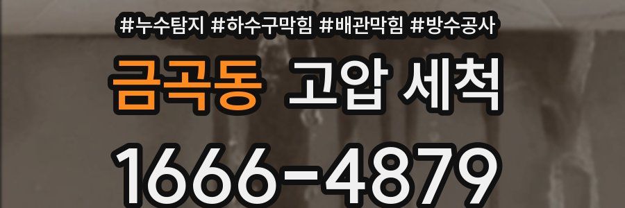 금곡동 고압 세척