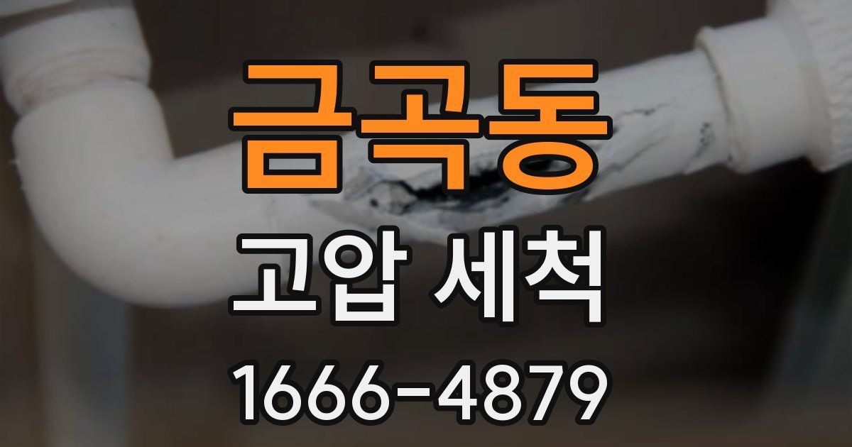 금곡동 고압 세척