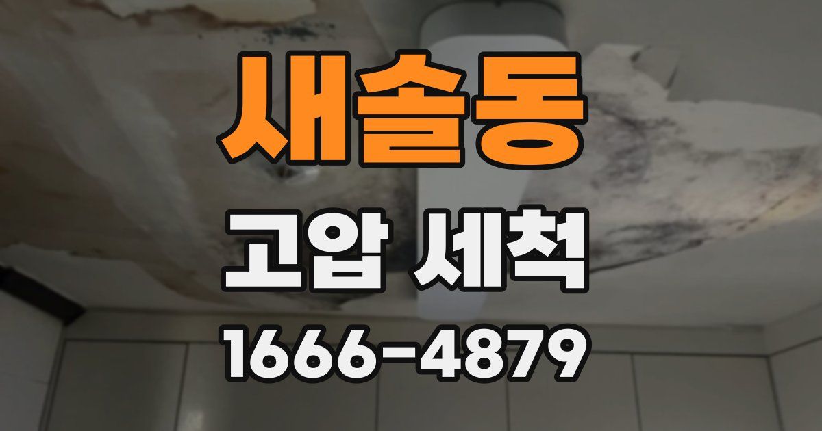 새솔동 고압 세척