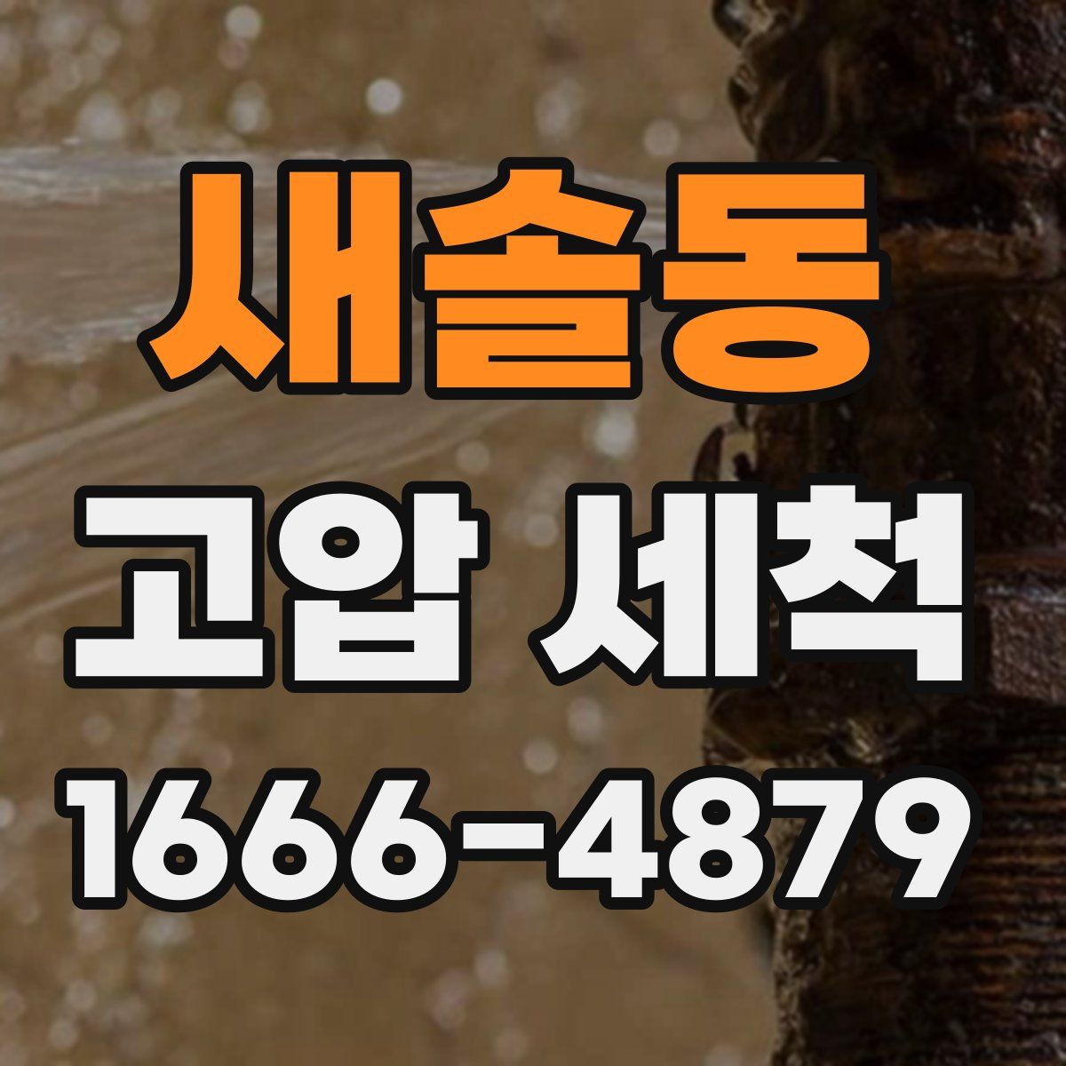 새솔동 고압 세척