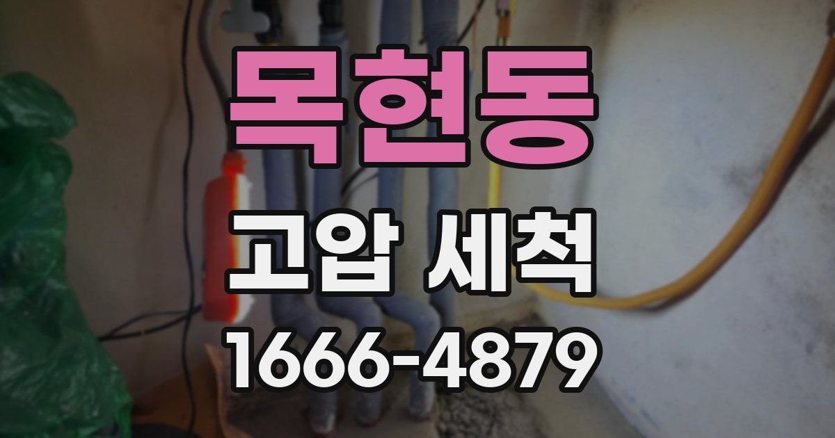 목현동 고압 세척