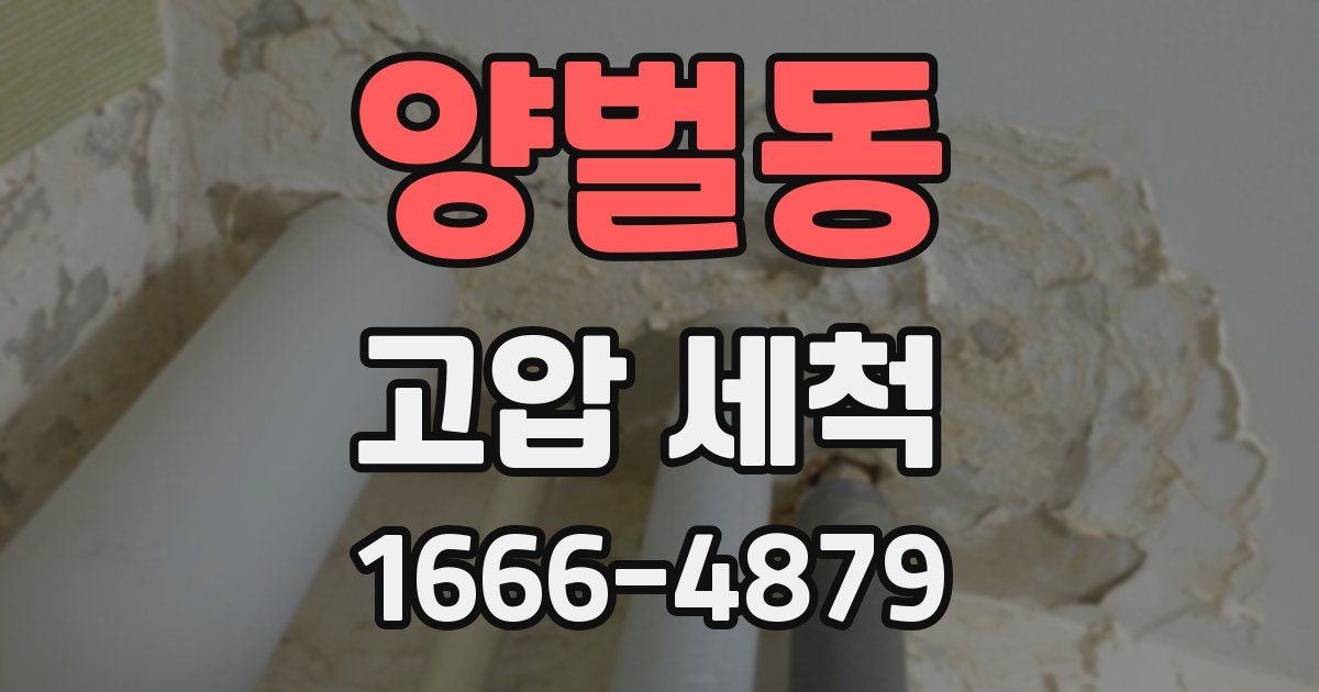 양벌동 고압 세척