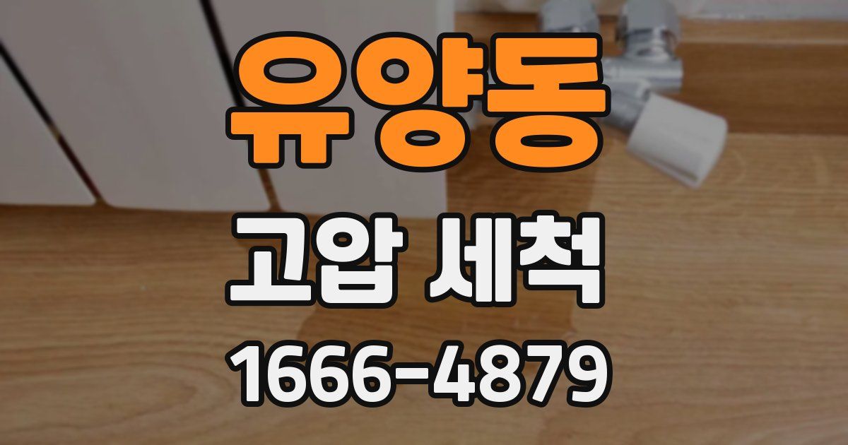 유양동 고압 세척