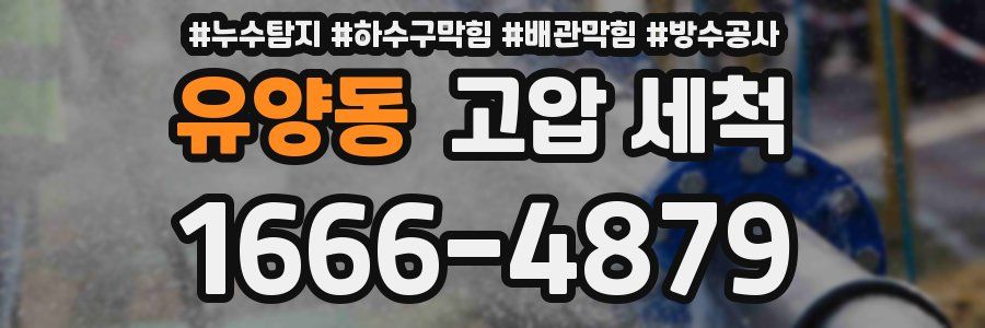 유양동 고압 세척