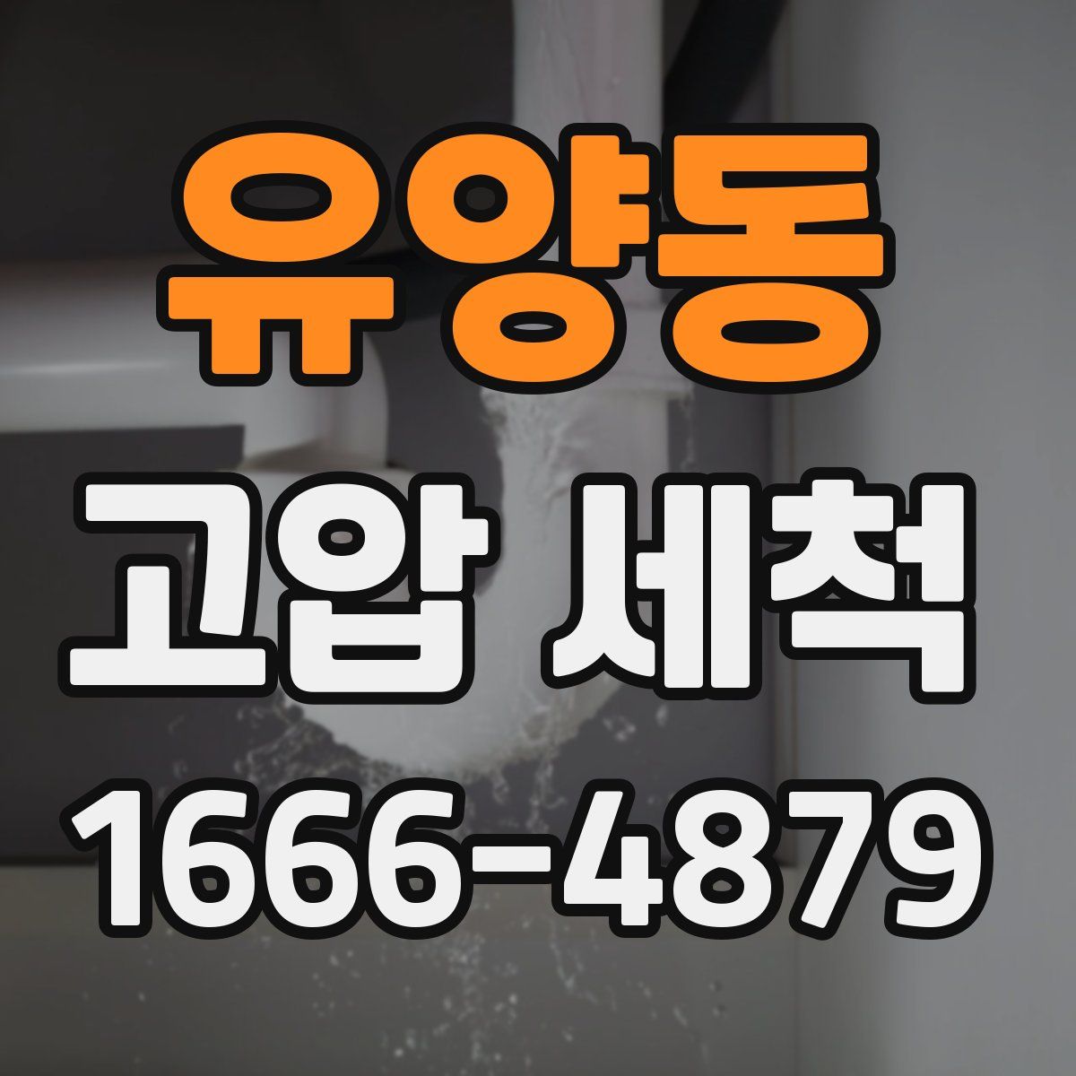 유양동 고압 세척