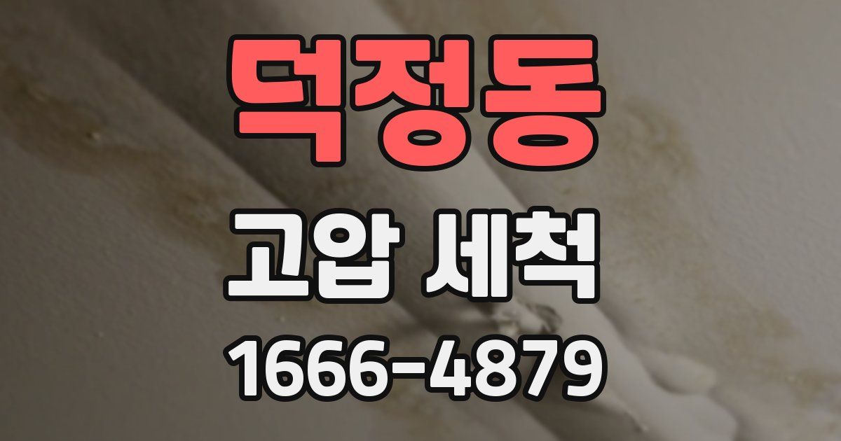 덕정동 고압 세척