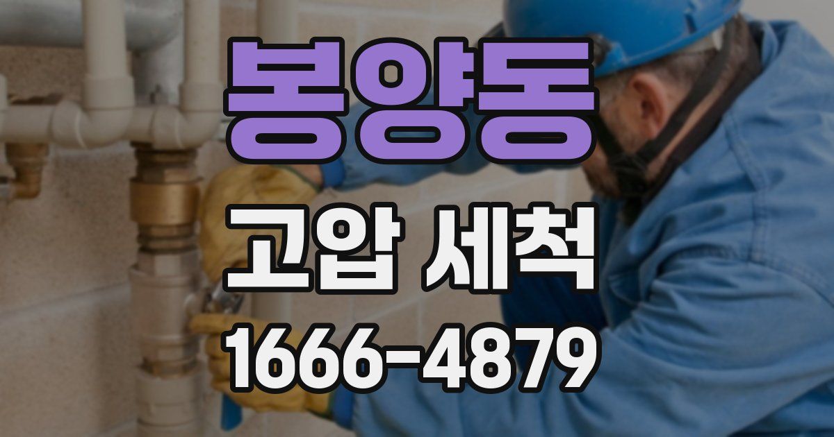 봉양동 고압 세척