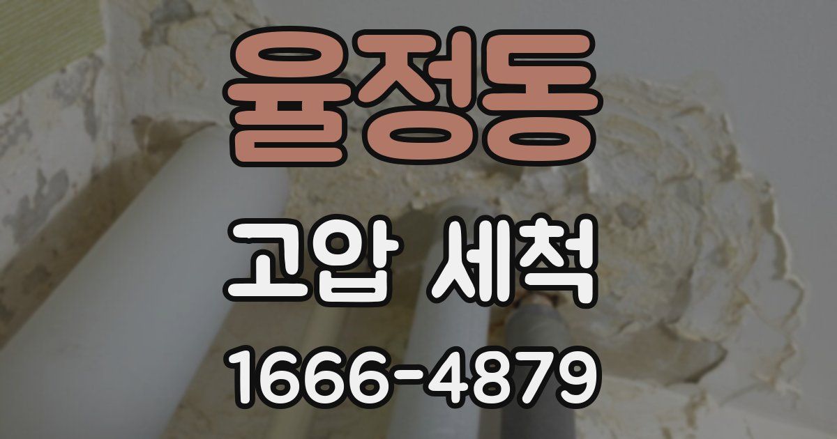 율정동 고압 세척