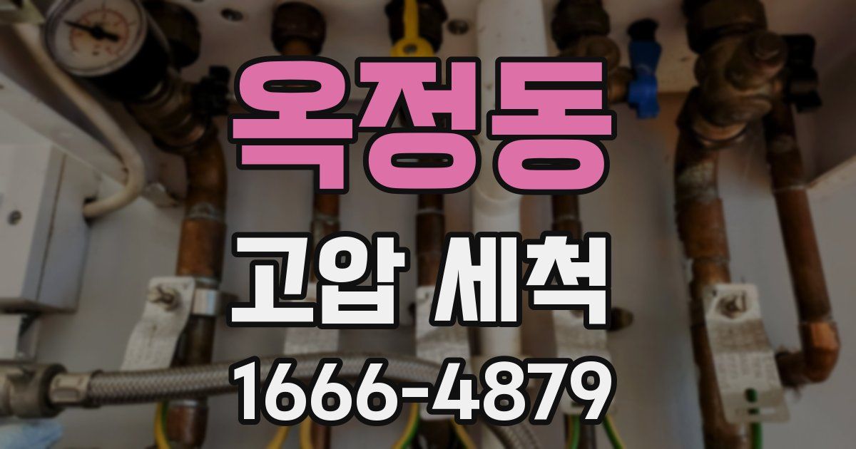 옥정동 고압 세척