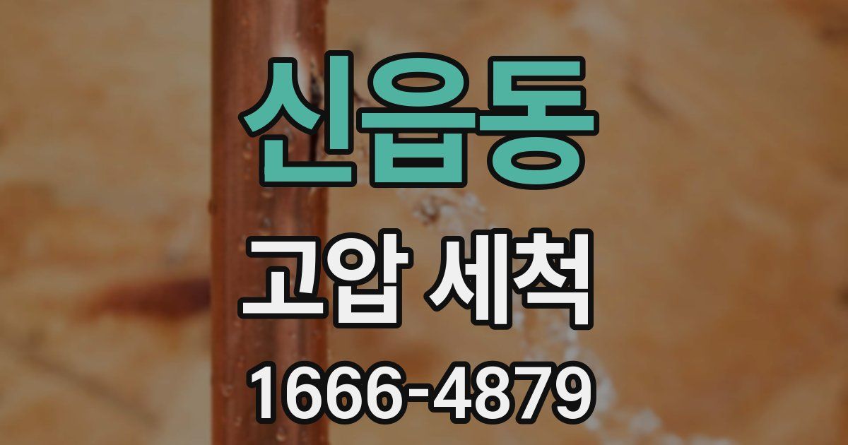 신읍동 고압 세척