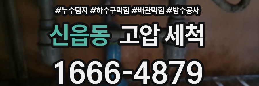 신읍동 고압 세척