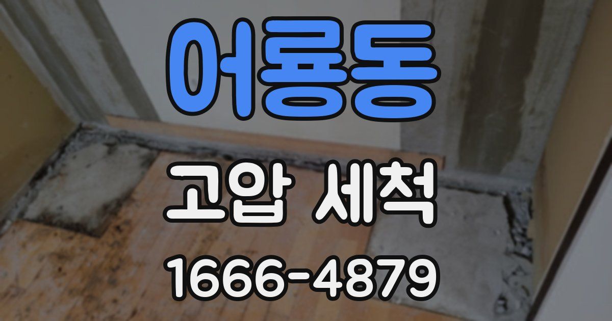 어룡동 고압 세척