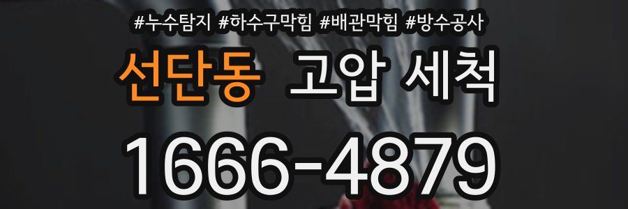 선단동 고압 세척
